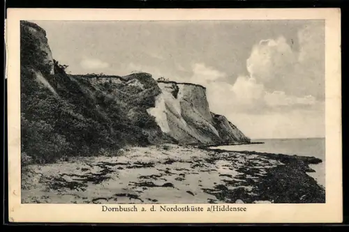 AK Hiddensee, Dornbusch a. d. Nordostküste, Steilküste, Strand