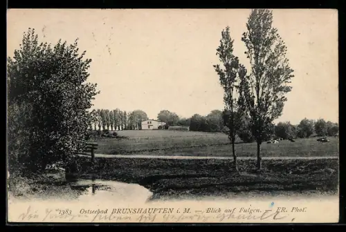 AK Brunshaupten i. M., Blick auf Fulgen