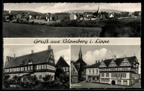 AK Blomberg i. Lippe, Ortspanorama, Burg, Rathaus