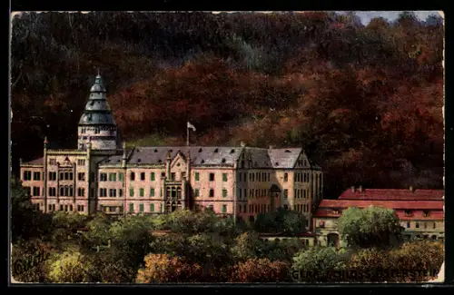 Künstler-AK Gera, Schloss Osterstein