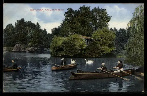 AK Mittweida, Schwanenteich, Ruderboote
