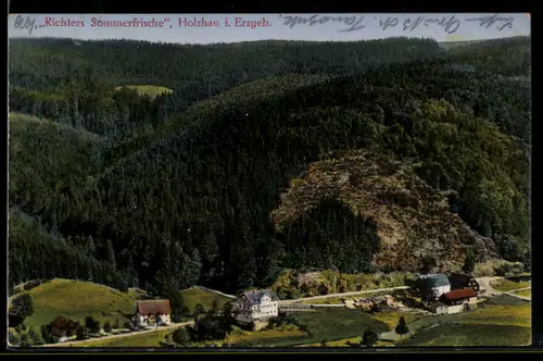 AK Holzhau i. Erzgeb., Richters Sommerfrische, Waldlandschaft