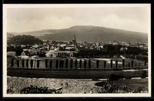 AK Rochlitz i. Sa., Blick auf Stadt und Berg