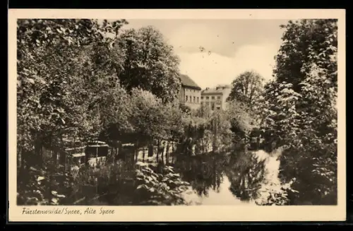 AK Fürstenwalde /Spree, Alte Spree, Flusspartie