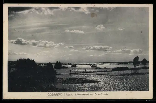 AK Oderberg i. Mark, Mondnacht im Oderbruch