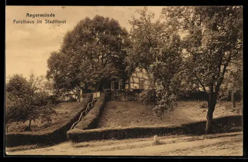 AK Angermünde, Forsthaus im Stadtforst