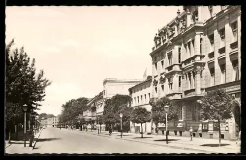 AK Guben, Wilhelm-Pieck-Strasse, Partie mit historischen Gebäuden