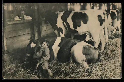 AK Düsseldorf, Deutsche Landwirtschafts-Gesellschaft, 21. Wanderausstellung 1907, Halle mit Rindern