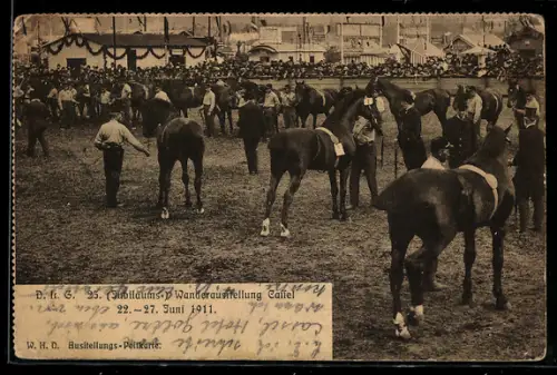 AK Kassel, D. L. G. 25. (Jubiläums-) Wander-Ausstellung vom 22. - 27. Juni 1911, Pferde