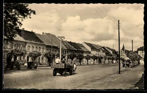AK Sonnewalde /Nl., Markt mit Pferdewagen