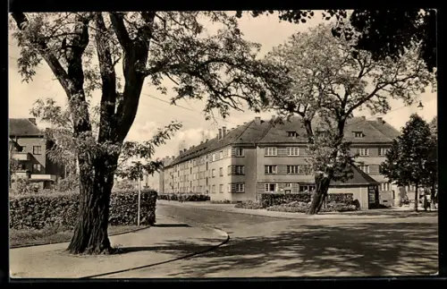 AK Guben, Blick von der Kaltenborner Strasse