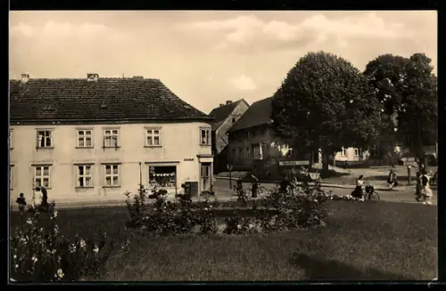 AK Mirow /Mecklbg., Springbrunnen