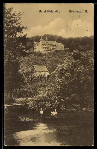 AK Ilsenburg i. H., Hotel Waldhöhe, Landschaft, Teich mit Schwänen