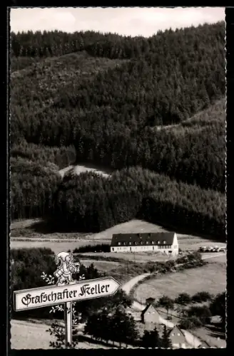 AK Schmallenberg /Sauerland, Grafschafter Keller, Waldlandschaft