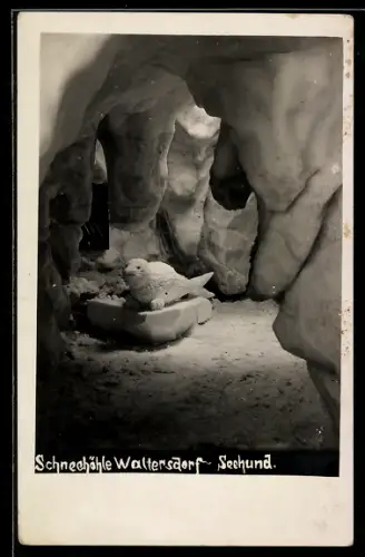 AK Waltersdorf, Schneehöhle, Eisplastik: Seehund