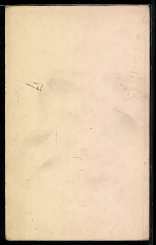 AK Violet Hopson, Portrait