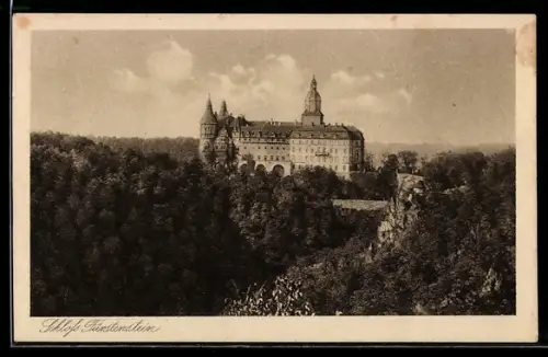 AK Fürstenstein, Schloss Fürstenstein mit Umgebung