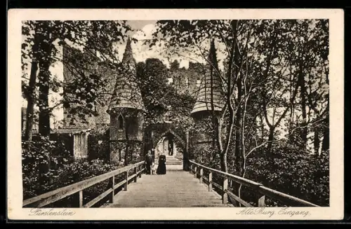 AK Fürstenstein, Eingang der Alten Burg