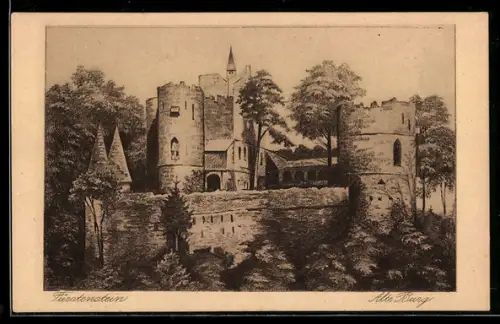 AK Fürstenstein, Alte Burg mit angrenzenden Bäumen
