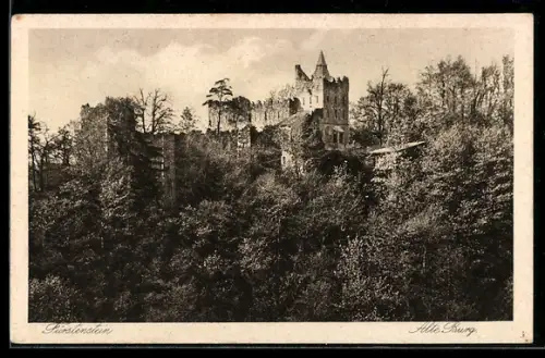 AK Fürstenstein, Alte Burg mit angrenzendem Wald