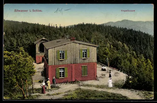 AK Altwasser i. Schles., Partie an der Vogelkoppe mit Waldpanorama