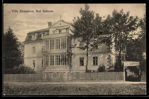 AK Bad Reinerz, Villa Kronprinz, Aussenansicht