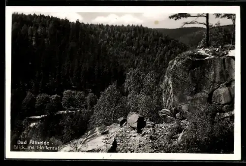 AK Bad Altheide, Blick ins Höllental mit Waldpanorama