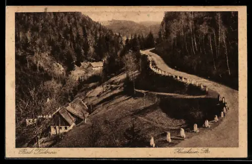 AK Bad Kudowa, Heuscheuer Strasse mit Teilansicht des Ortes