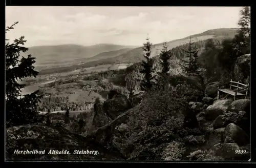 AK Bad Altheide, Panorama mit Steinberg