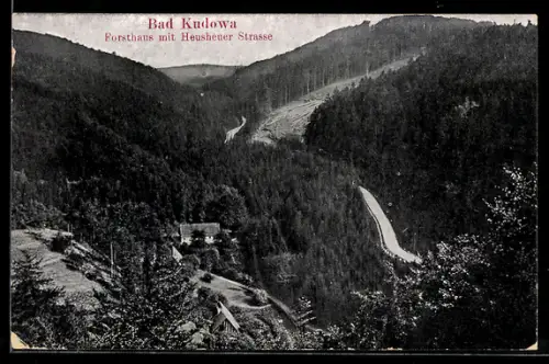 AK Bad Kudowa, Forsthaus mit Heusheuer Strasse und Waldpanorama