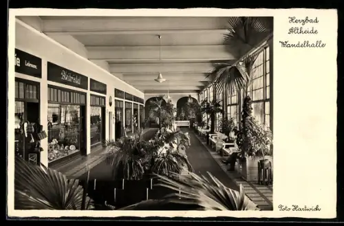 AK Bad Altheide, Wandelhalle mit Pflanzen