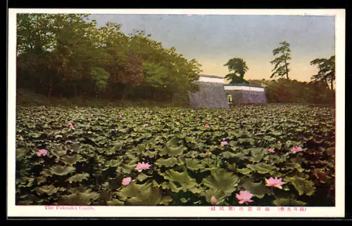 AK Fukuoka, Schloss mit Blumenfeld