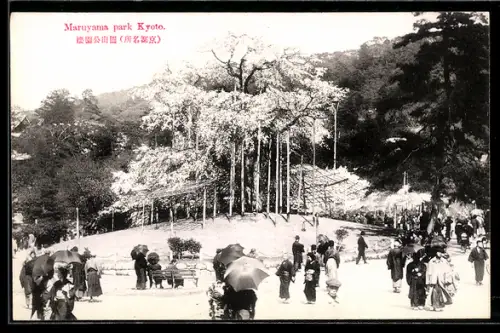 AK Kyoto, Maruyama Park