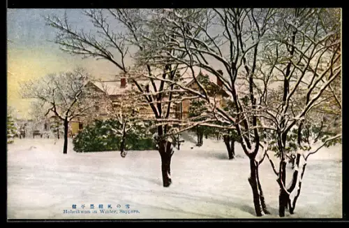 AK Sapporo, Hoheikwan in Winter