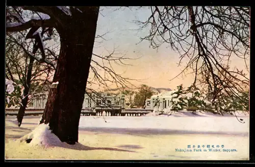 AK Sapporo, Nakajima Park in winter