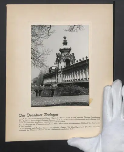 Fotografie Ansicht Dresden, Partie im Dresdner Zwinger nach dem Wiederaufbau bei Tage, Grossformat 24 x 30cm