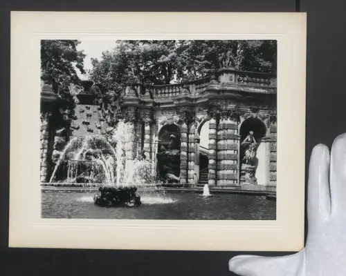 Fotografie Ansicht Dresden, Das Nymphenbad im Zwinger nach dem Wiederaufbau, Grossformat 30 x 24cm