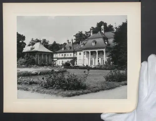 Fotografie Ansicht Dresden, Schloss Pillnitz im Barockstil mit idyllischer Gartenanlage, Grossformat 30 x 24cm