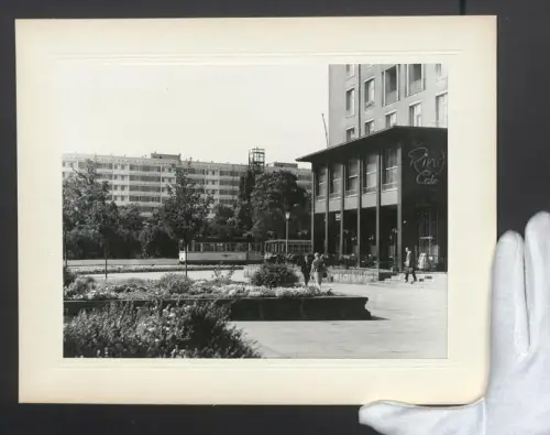 Fotografie Ansicht Dresden, Partie am Ring Café mit modernen Wohnblocks im Hintergrund, Grossformat 30 x 24cm