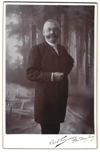 Fotografie Carl Simon, Bad Harzburg, Herr im Anzug vor Waldkulisse