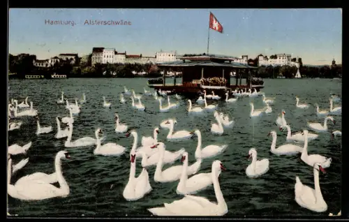 AK Hamburg, Alsterschwäne, Pavillon im Wasser
