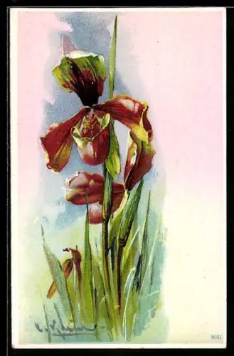 Künstler-AK Catharina Klein: Blühende Blumen vor blauem Himmel