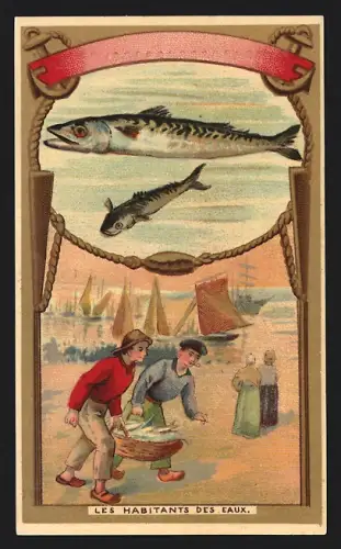 Sammelbild Liebig, Chocolat de la Havane, Les habitants des eaux