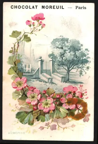 Sammelbild Paris, Chocolat Moreuil, Gartentor im Blumenrahmen