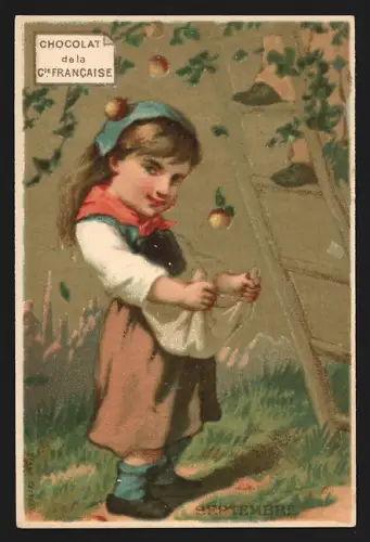 Sammelbild Paris, Chocolat de la Compagnie Francaise, Boulevard de Sebastopol 18, Mädchen bei der Apfelernte
