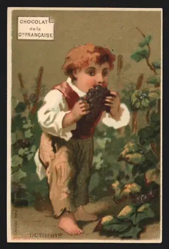 Sammelbild Paris, Chocolat de la Compagnie Francaise, Boulevard de Sebastopol 18, Junge nascht Weintrauben