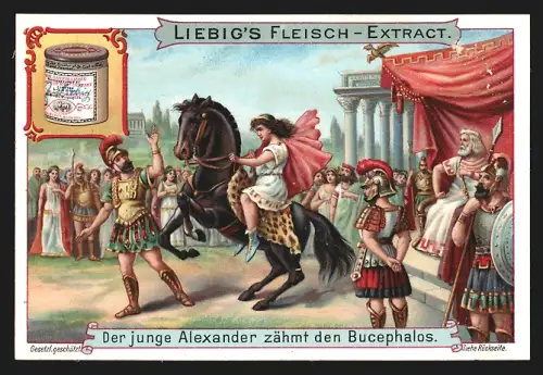 Sammelbild Liebig, Der junge Alexander zähmt den Bucephalos