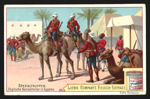 Sammelbild Liebig, Spezialtruppen, Englische Kamelreiter in Ägypten