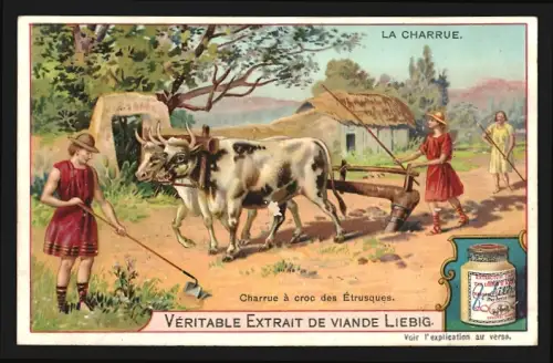Sammelbild Liebig, La Charrue, Charrue à croc des Étrusques