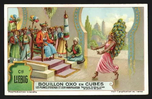 Sammelbild Liebig, Bouillon Oxo en Cubes, Les Plumes d`Oiseaux et leur Manipulation